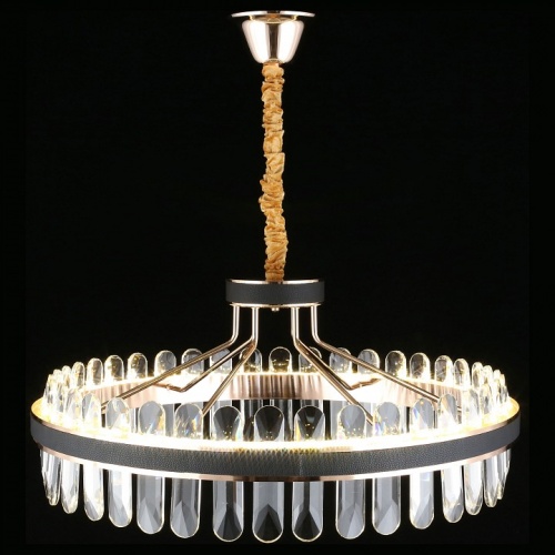 Подвесной светильник Aployt Honori APL.027.03.102 в Нижнем Новгороде фото 10