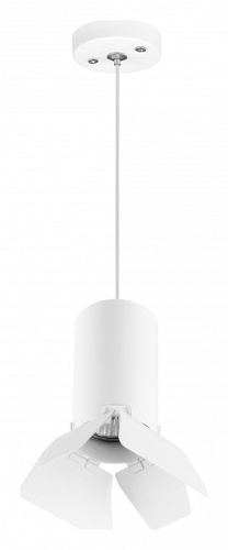 Подвесной светильник Lightstar Rullo RP436436 в Нижнем Новгороде фото 2