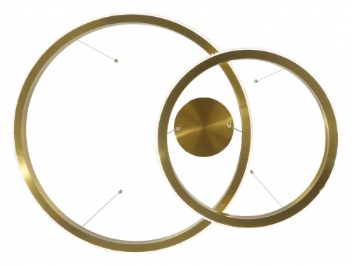 Подвесной светильник Zortes Lidia ZRS.30111.63 в Нижнем Новгороде фото 6