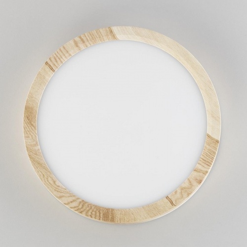 Накладной светильник Citilux Бейсик CL738122N в Нижнем Новгороде фото 7