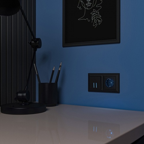 Розетка с заземлением с подсветкой, без рамки Werkel черный W1171408 в Нижнем Новгороде фото 2