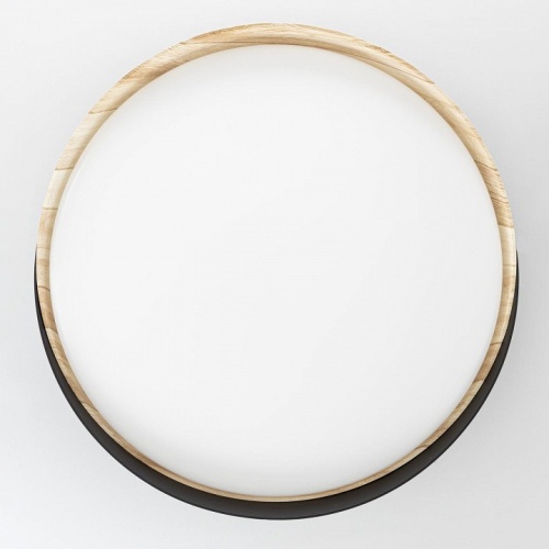 Накладной светильник Citilux BONNY CL754351G в Нижнем Новгороде фото 2