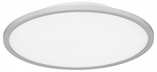 Накладной светильник EVOLUCE TASSEN SLE1811-502-01 в Нижнем Новгороде