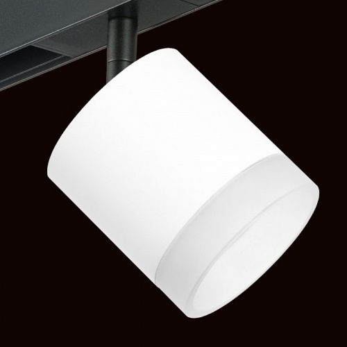 Светильник на штанге Lightstar Rullo PRO348680 в Нижнем Новгороде фото 2