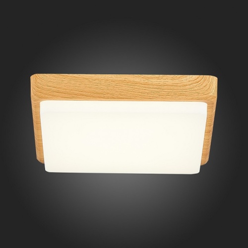 Накладной светильник EVOLUCE Taddio SLE200202-01 в Нижнем Новгороде фото 2