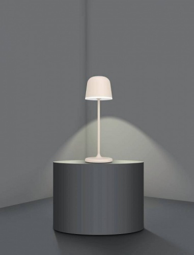 Настольная лампа декоративная Eglo Mannera 900461 в Нижнем Новгороде фото 6