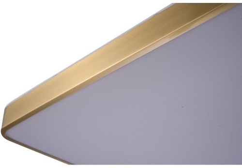 Накладной светильник Zortes Monna ZRS.1209.05 в Нижнем Новгороде фото 10