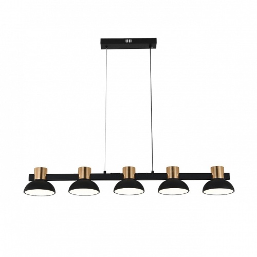 Подвесной светильник Indigo Traforo 11059/5PL Black в Нижнем Новгороде фото 6