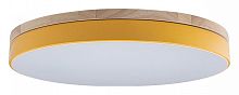 Накладной светильник Loft it Axel 10001/36 Yellow в Тюмени