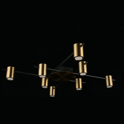 Потолочная люстра Aployt Elwisia APL.633.07.08 в Нижнем Новгороде фото 4