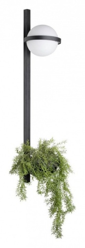 Бра Loft it Jardin 10121W/B в Нижнем Новгороде фото 3