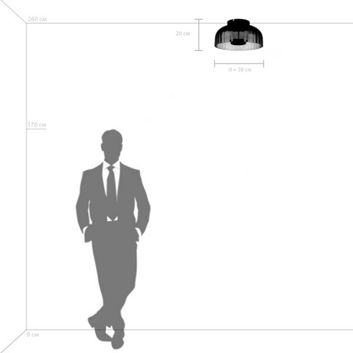 Накладной светильник Lightstar Celesta 809061 в Нижнем Новгороде фото 4