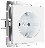 Розетка с заземлением с подсветкой, без рамки Werkel DBQ29 W1171461 в Нижнем Новгороде