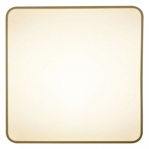 Накладной светильник Zortes Gabby ZRS.1215.04 в Нижнем Новгороде фото 2