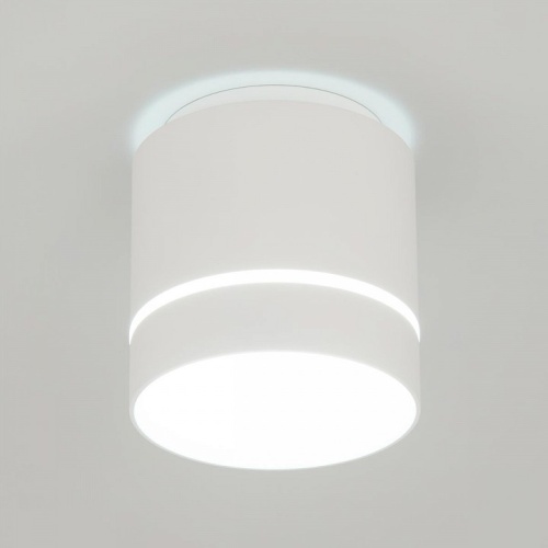 Накладной светильник Citilux Борн CL745020N в Соколе фото 14