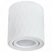 Накладной светильник Arte Lamp Fang A5559PL-1WH в Геленджике