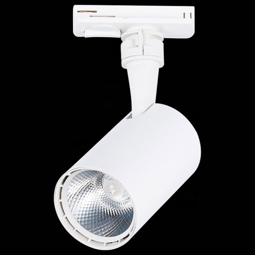 Светильник на штанге ST-Luce Cami ST351.536.10.36 в Нижнем Новгороде фото 2