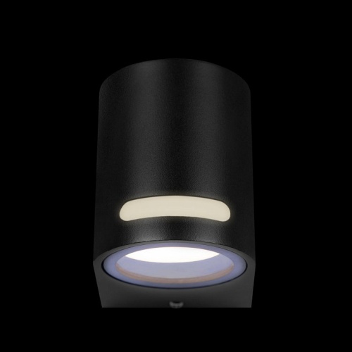 Накладной светильник Loft it Stema 100012/A в Нижнем Новгороде фото 3