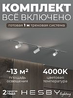 Комплект трековый Hesby Lighting Skylite №3 HSBL_kompl_S003_VI1W4K в Нижнем Новгороде