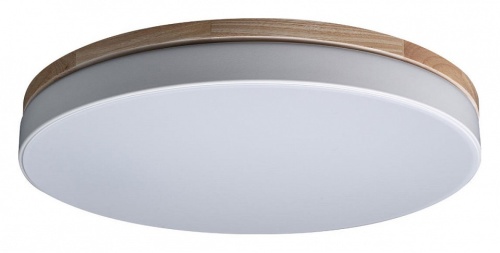 Накладной светильник Loft it Axel 10001/36 White в Нижнем Новгороде фото 4