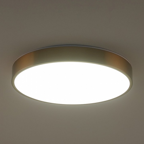 Накладной светильник Zortes Tortty ZRS.02566.72 в Нижнем Новгороде фото 2