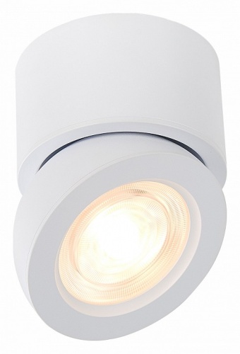 Накладной светильник ST-Luce ST654 ST654.532.10 в Кропоткине фото 4
