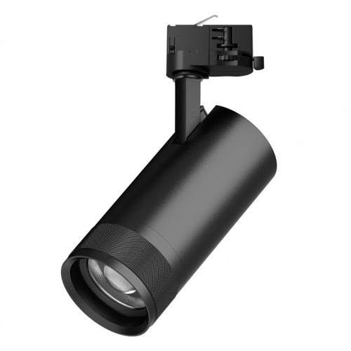 Светильник на штанге Lightstar Canno Pro C4307QT в Нижнем Новгороде фото 3