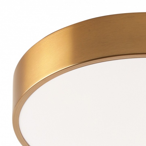 Накладной светильник Zortes Tortty ZRS.02566.48 в Нижнем Новгороде фото 2