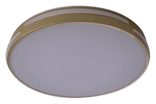 Накладной светильник Zortes Gabby ZRS.90610.40 в Нижнем Новгороде фото 7