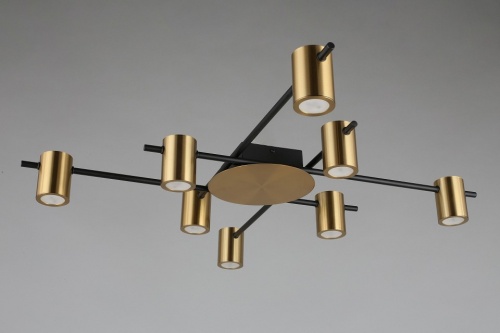 Потолочная люстра Aployt Elwisia APL.633.07.08 в Нижнем Новгороде фото 11