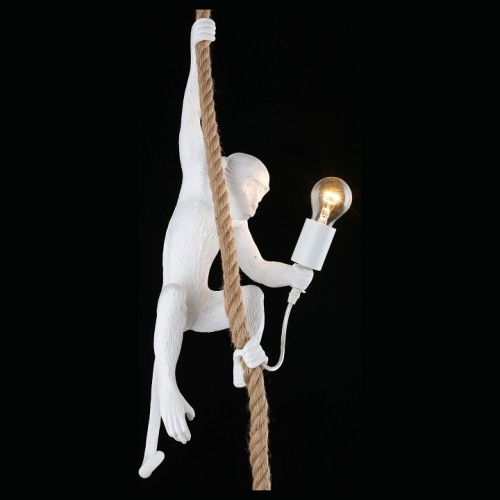 Подвесной светильник Aployt Magali APL.309.06.01 в Нижнем Новгороде фото 7