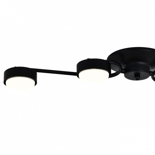 Потолочная люстра Escada  ES0000021L в Нижнем Новгороде фото 2