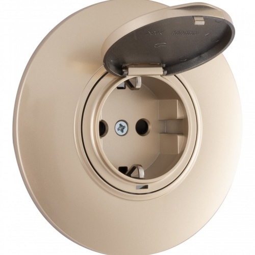 Розетка с заземлением и шторкой, с крышкой Arte Milano SET08-1 SET08-1-41-1 shampan в Нижнем Новгороде фото 3