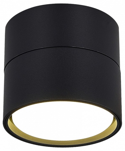 Накладной светильник ST-Luce ST651 ST651.402.01 в Нижнем Новгороде фото 4