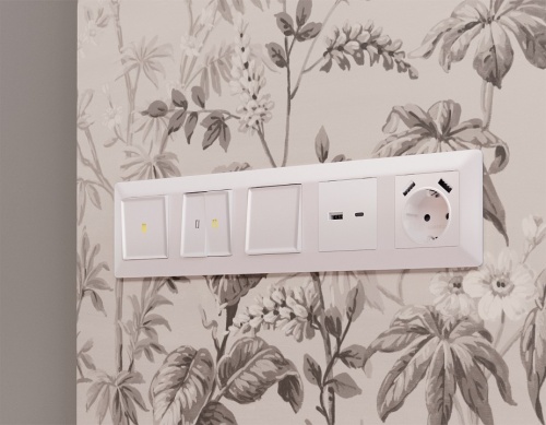 Клавиша для выключателя одноклавишного c подсветкой Ambrella Volt ALFA AP2020 в Нижнем Новгороде фото 2