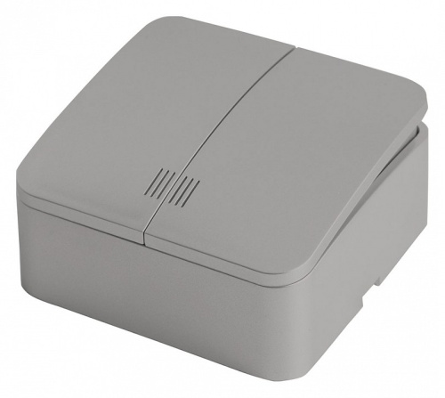 Выключатель двухклавишный с подсветкой Stekker София 49298 в Нижнем Новгороде