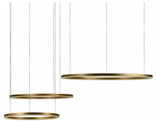 Подвесной светильник Loft it Ring 10017/3L в Нижнем Новгороде фото 6