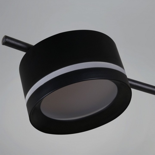 Люстра на штанге  10590-0.3-06 Black в Нижнем Новгороде фото 2