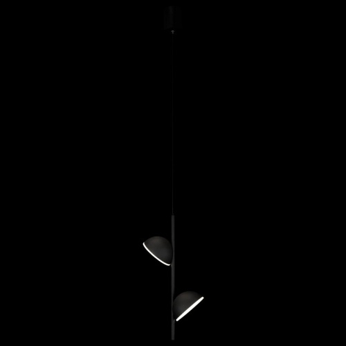 Подвесной светильник Loft it Mons 10335 Black в Симе фото 3