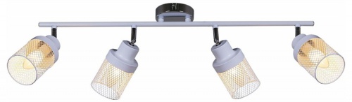 Люстра на штанге  05905-0.8-04 WH+CR в Нижнем Новгороде