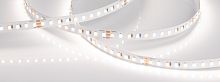 Лента RT 6-5000 24V White-MIX 2x (2835, 120 LED/m, LUX) (Arlight, 23 Вт/м, IP20) в Кадникове