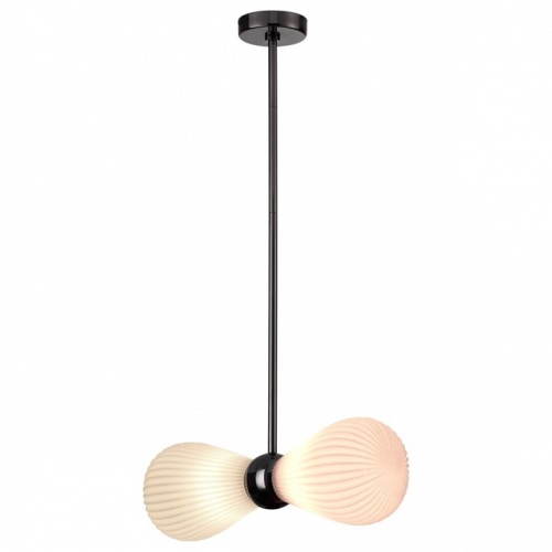 Подвесной светильник Odeon Light Elica 2 5418/2 в Бородино фото 6