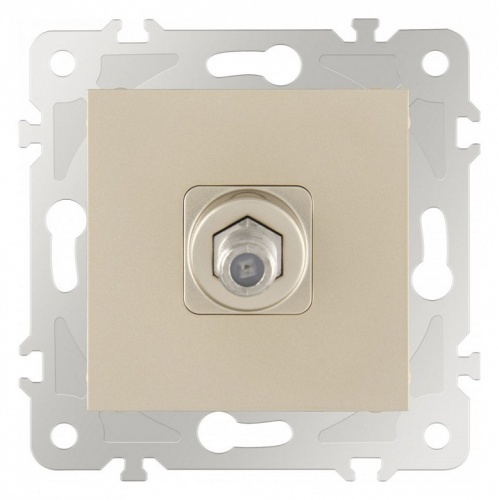 ТВ-розетка без рамки Arte Milano am-203 203.42-1.shampan в Нижнем Новгороде