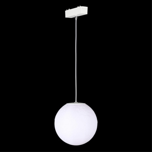 Подвесной светильник Aployt Magnetic track 48 APL.0123.10.06 в Нижнем Новгороде фото 4