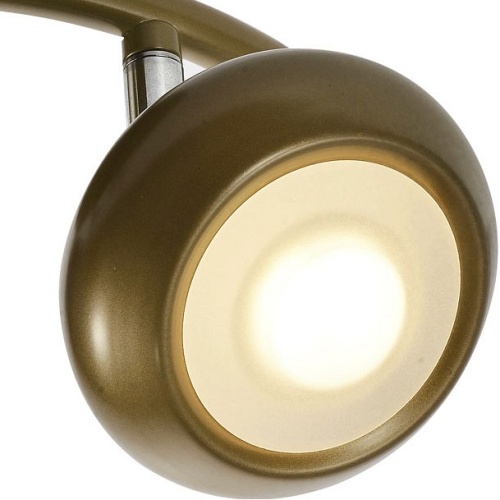 Спот TopLight Carissa TL1244Y-02SG в Нижнем Новгороде фото 4