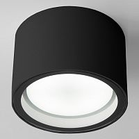 Накладной светильник Elektrostandard Light a057868 в Нижнем Новгороде