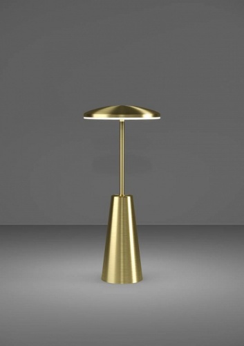 Настольная лампа декоративная Eglo PICCOLA 900923 в Нижнем Новгороде фото 5