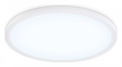 Накладной светильник Ambrella Light FZ FZ1959 в Нижнем Новгороде