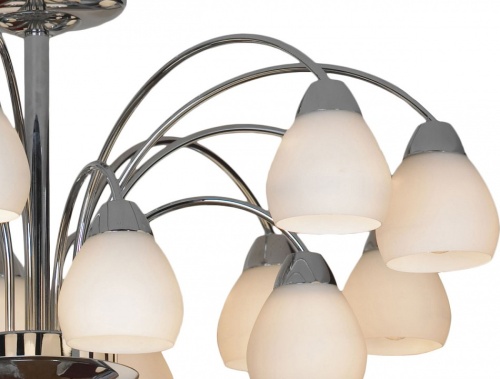 Люстра на штанге Lussole Apiro LSF-2403-15 в Нижнем Новгороде фото 3