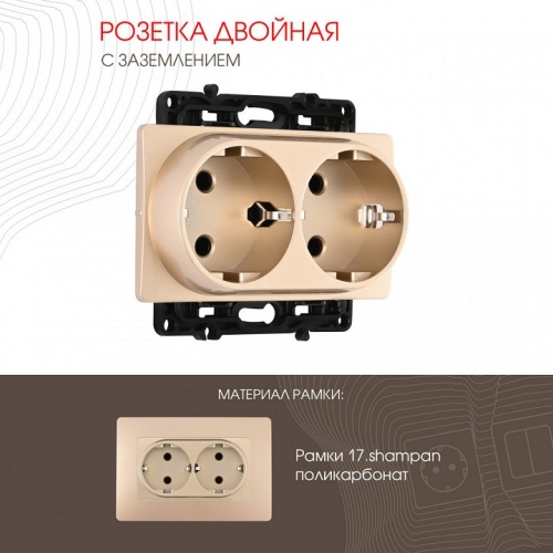 Розетка двойная с заземлением, без рамки Arte Milano am-217 217.40-2.shampan в Нижнем Новгороде фото 4